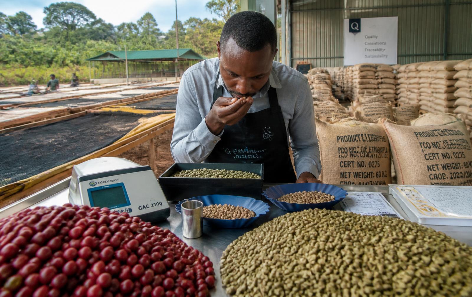 Äthiopische Arabica-Kaffeebohnen in Jute-Exportsäcken