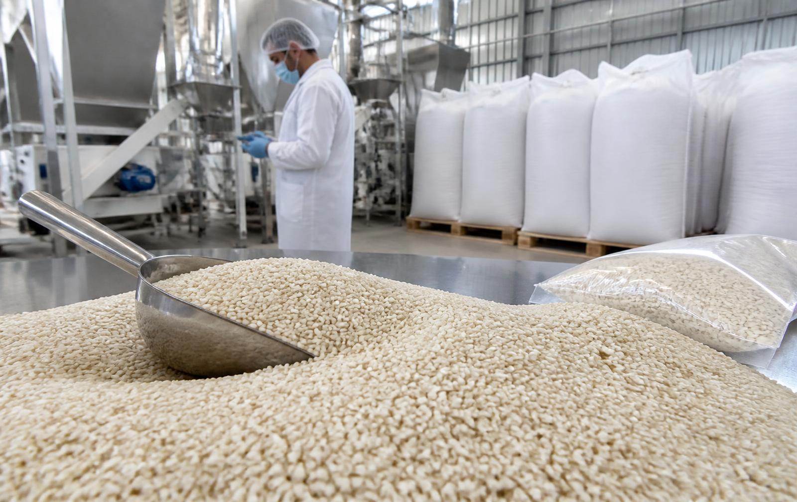 Geschälte weiße Sesamsamen in einer Holzkelle neben einem Exportsack